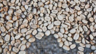 焙煎前のコーヒー豆はよごれている！