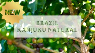 【新商品】ブラジル 樹上完熟豆 晩秋摘み(KANJUKU NATURAL)